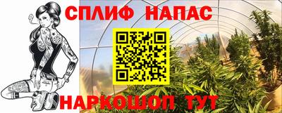 ALPHA PVP Ставрополь