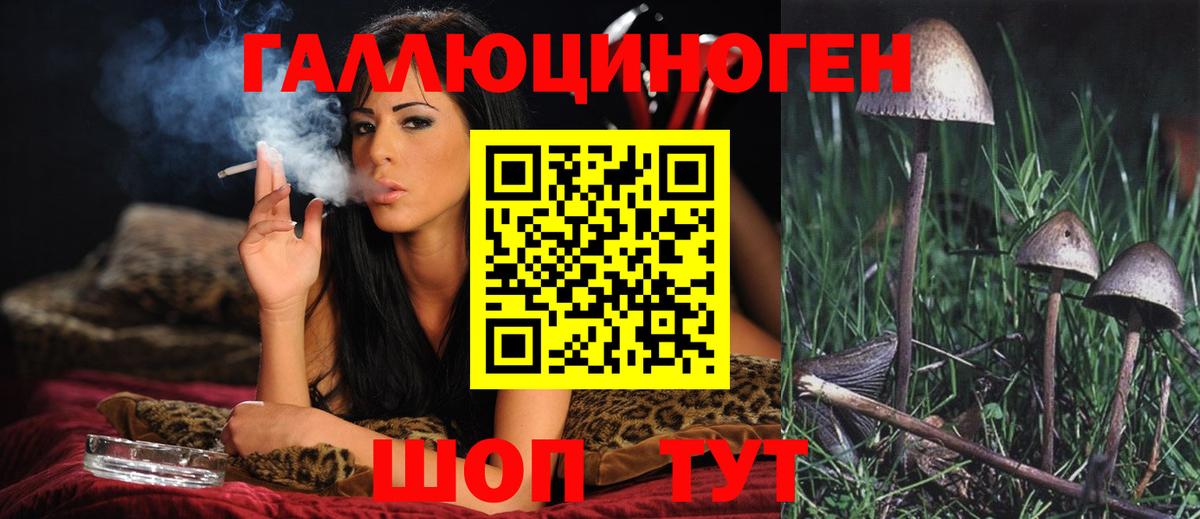 Псилоцибиновые грибы Psilocybine cubensis  Вход с VPN  Армавир 