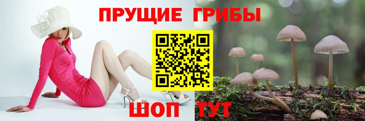 Псилоцибиновые грибы ЛСД Армавир